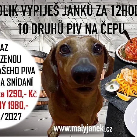 بيت ضيافة Eska S Pivovarem Mj Jince